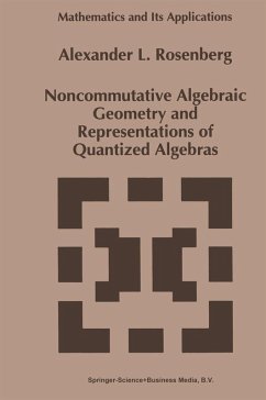 Noncommutative Algebraic Geometry and Representations of Quantized Algebras (eBook, PDF) - Rosenberg, A.