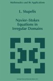 Navier-Stokes Equations in Irregular Domains (eBook, PDF)