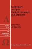 Elementary Analysis through Examples and Exercises (eBook, PDF)