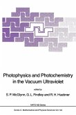 Photophysics and Photochemistry in the Vacuum Ultraviolet (eBook, PDF)