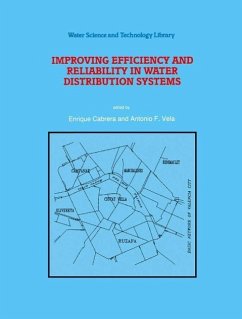 Improving Efficiency and Reliability in Water Distribution Systems (eBook, PDF)