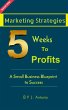 Marketing Strategies Five Weeks To... - Bild 1