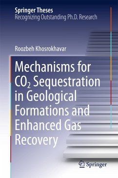Mechanisms for CO2 Sequestration in Geological Formations and Enhanced Gas Recovery (eBook, PDF) - Khosrokhavar, Roozbeh