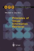 Principles of Visual Information Retrieval (eBook, PDF)