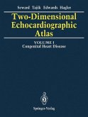Two-Dimensional Echocardiographic Atlas (eBook, PDF)
