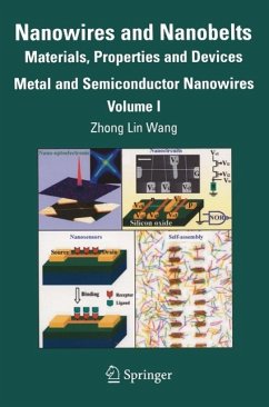Cover Nanowires and Nanobelts (eBook, PDF)