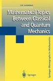 Mathematical Topics Between Classical and Quantum Mechanics (eBook, PDF)