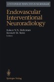 Endovascular Interventional Neuroradiology (eBook, PDF)
