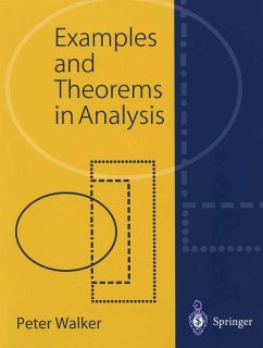 Examples and Theorems in Analysis (eBook, PDF) - Walker, Peter