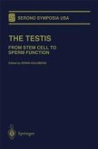 The Testis (eBook, PDF)