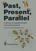 Past, Present, Parallel (eBook, PDF)