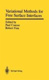 Variational Methods for Free Surface Interfaces (eBook, PDF)