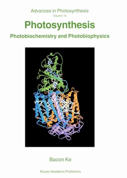 Photosynthesis (eBook, PDF)