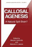 Callosal Agenesis (eBook, PDF)