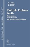 Multiple Problem Youth (eBook, PDF)