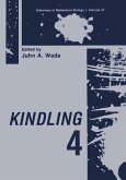 Kindling 4 (eBook, PDF)