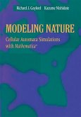 Modeling Nature (eBook, PDF)