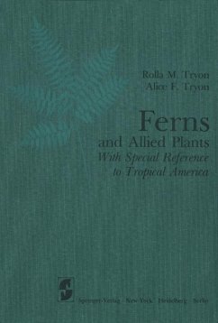 Cover Ferns and Allied Plants (eBook, PDF)