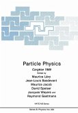 Particle Physics (eBook, PDF)