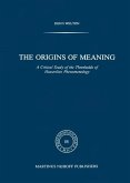 The Origins of Meaning (eBook, PDF)