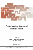 Brain Mechanisms and Spatial Vision (eBook, PDF)