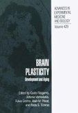 Brain Plasticity (eBook, PDF)