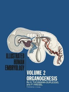 Organogenesis (eBook, PDF) - Tuchmann-Duplessis, H.; Haegel, P.