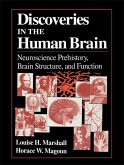 Discoveries in the Human Brain (eBook, PDF)
