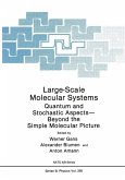 Large-Scale Molecular Systems (eBook, PDF)