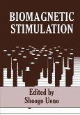 Biomagnetic Stimulation (eBook, PDF)