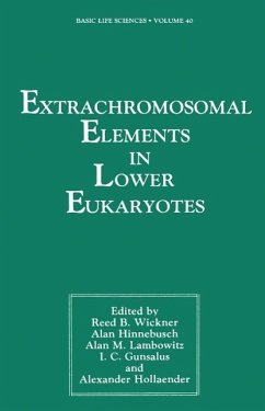 Extrachromosomal Elements in Lower Eukaryotes (eBook, PDF)