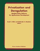 Privatization and Deregulation (eBook, PDF)