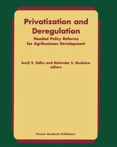 Cover Privatization and Deregulation (eBook, PDF)