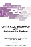 Cosmic Rays, Supernovae and the Interstellar Medium (eBook, PDF)