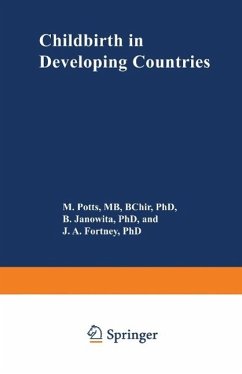 Childbirth in Developing Countries (eBook, PDF)