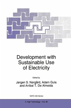 Development with Sustainable Use of Electricity (eBook, PDF)