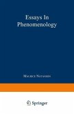 Essays in Phenomenology (eBook, PDF)