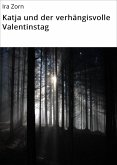 Katja und der verhängisvolle Valentinstag (eBook, ePUB)