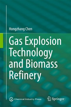 Gas Explosion Technology and Biomass Refinery (eBook, PDF) - Chen, Hongzhang
