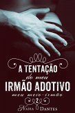 A Tentação do Meu Irmão Adotivo (Meu Meio-Irmão #2) (eBook, ePUB) A Tentação do Meu Irmão Adotivo (Meu Meio-Irmão #2) (eBook, ePUB)