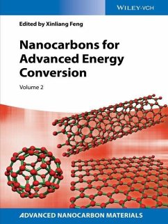 Nanocarbons for Advanced Energy Conversion (eBook, PDF)