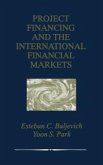 Project Financing and the International Financial Markets (eBook, PDF)