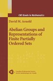 Abelian Groups and Representations of Finite Partially Ordered Sets (eBook, PDF)