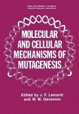 Molecular and Cellular Mechanisms of Mutagenesis (eBook, PDF)