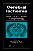 Cerebral Ischemia (eBook, PDF)