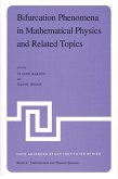 Bifurcation Phenomena in Mathematical Physics and Related Topics (eBook, PDF)