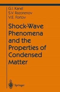 Shock-Wave Phenomena and the Properties of Condensed Matter (eBook, PDF) - Kanel, Gennady I.; Razorenov, Sergey V.; Fortov, Vladimir E.