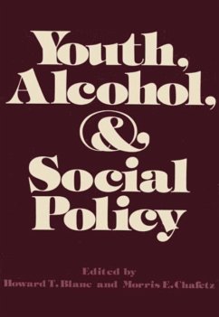 Cover Youth, Alcohol, and Social Policy (eBook, PDF)