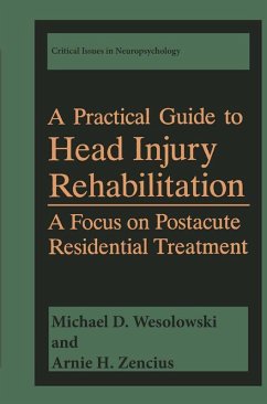 A Practical Guide to Head Injury Rehabilitation (eBook, PDF) - Wesolowski, Michael D.; Zencius, Arnie H.