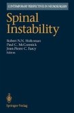 Spinal Instability (eBook, PDF)